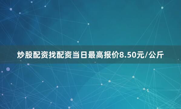 炒股配资找配资当日最高报价8.50元/公斤