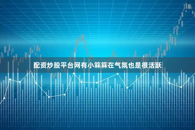 配资炒股平台网有小箖箖在气氛也是很活跃
